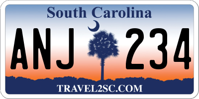 SC license plate ANJ234