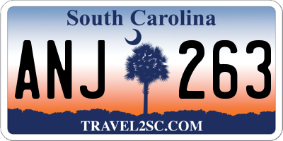SC license plate ANJ263