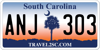 SC license plate ANJ303