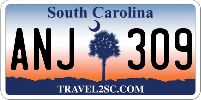 SC license plate ANJ309