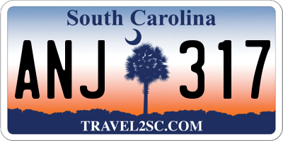 SC license plate ANJ317
