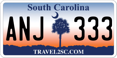 SC license plate ANJ333