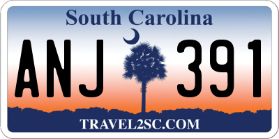 SC license plate ANJ391