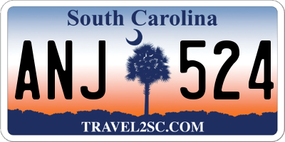 SC license plate ANJ524