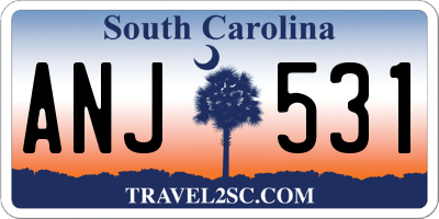 SC license plate ANJ531