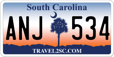 SC license plate ANJ534