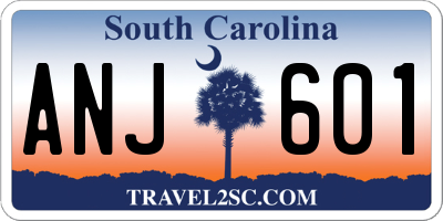 SC license plate ANJ601