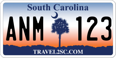 SC license plate ANM123