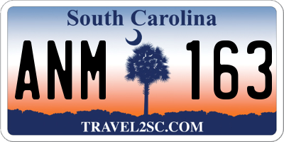 SC license plate ANM163
