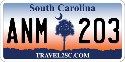 SC license plate ANM203