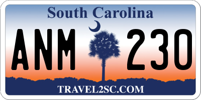 SC license plate ANM230