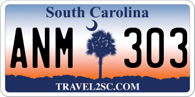 SC license plate ANM303