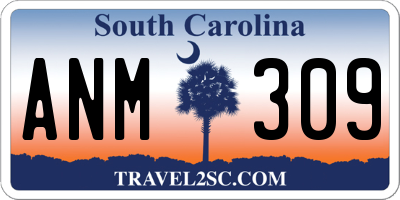 SC license plate ANM309