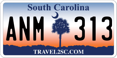 SC license plate ANM313