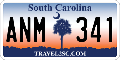 SC license plate ANM341
