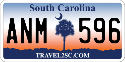 SC license plate ANM596