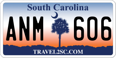 SC license plate ANM606