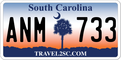SC license plate ANM733