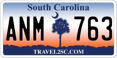 SC license plate ANM763