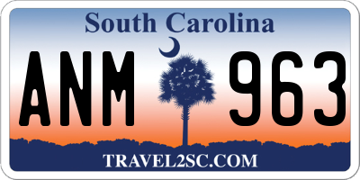 SC license plate ANM963