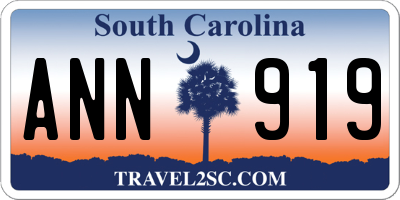 SC license plate ANN919