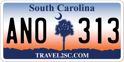 SC license plate ANO313