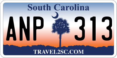 SC license plate ANP313