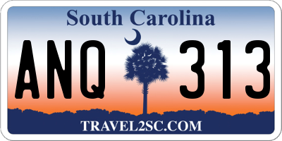 SC license plate ANQ313