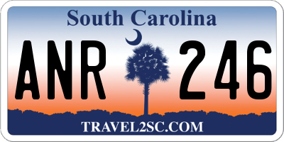 SC license plate ANR246