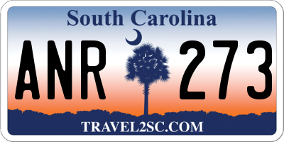 SC license plate ANR273
