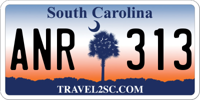 SC license plate ANR313