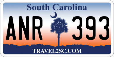 SC license plate ANR393