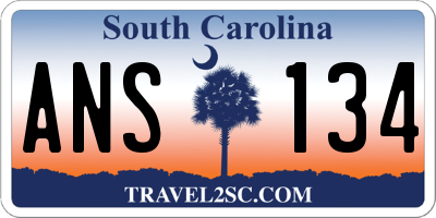 SC license plate ANS134