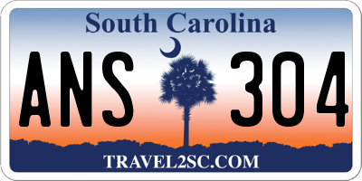 SC license plate ANS304