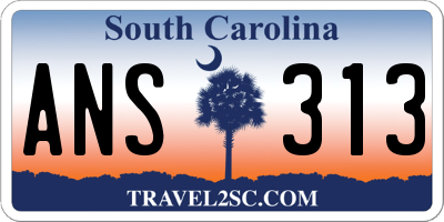 SC license plate ANS313