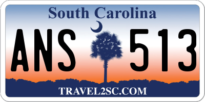 SC license plate ANS513