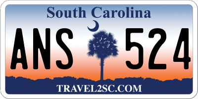 SC license plate ANS524