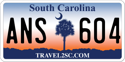 SC license plate ANS604