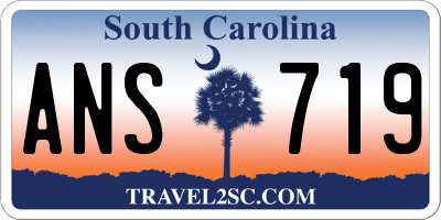 SC license plate ANS719