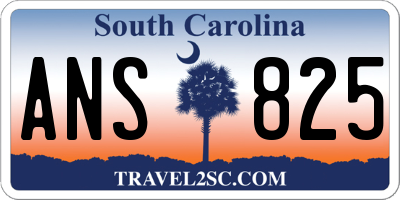 SC license plate ANS825