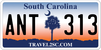 SC license plate ANT313