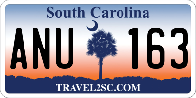 SC license plate ANU163