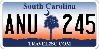 SC license plate ANU245