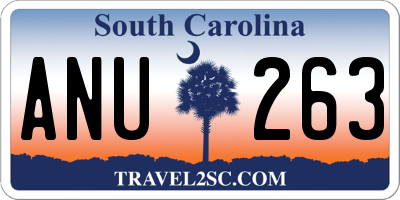 SC license plate ANU263