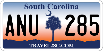 SC license plate ANU285