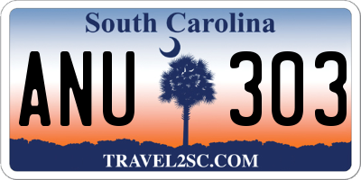 SC license plate ANU303