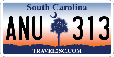 SC license plate ANU313