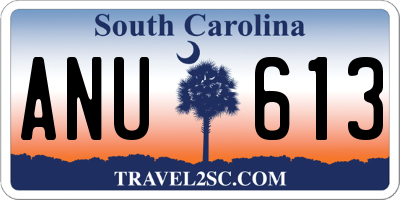 SC license plate ANU613