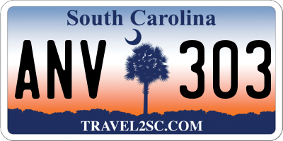 SC license plate ANV303