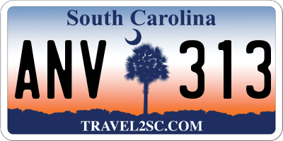 SC license plate ANV313